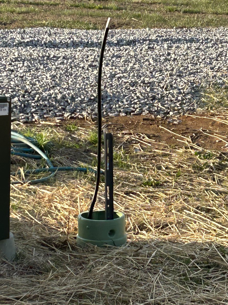 Stacey Travis tweet media