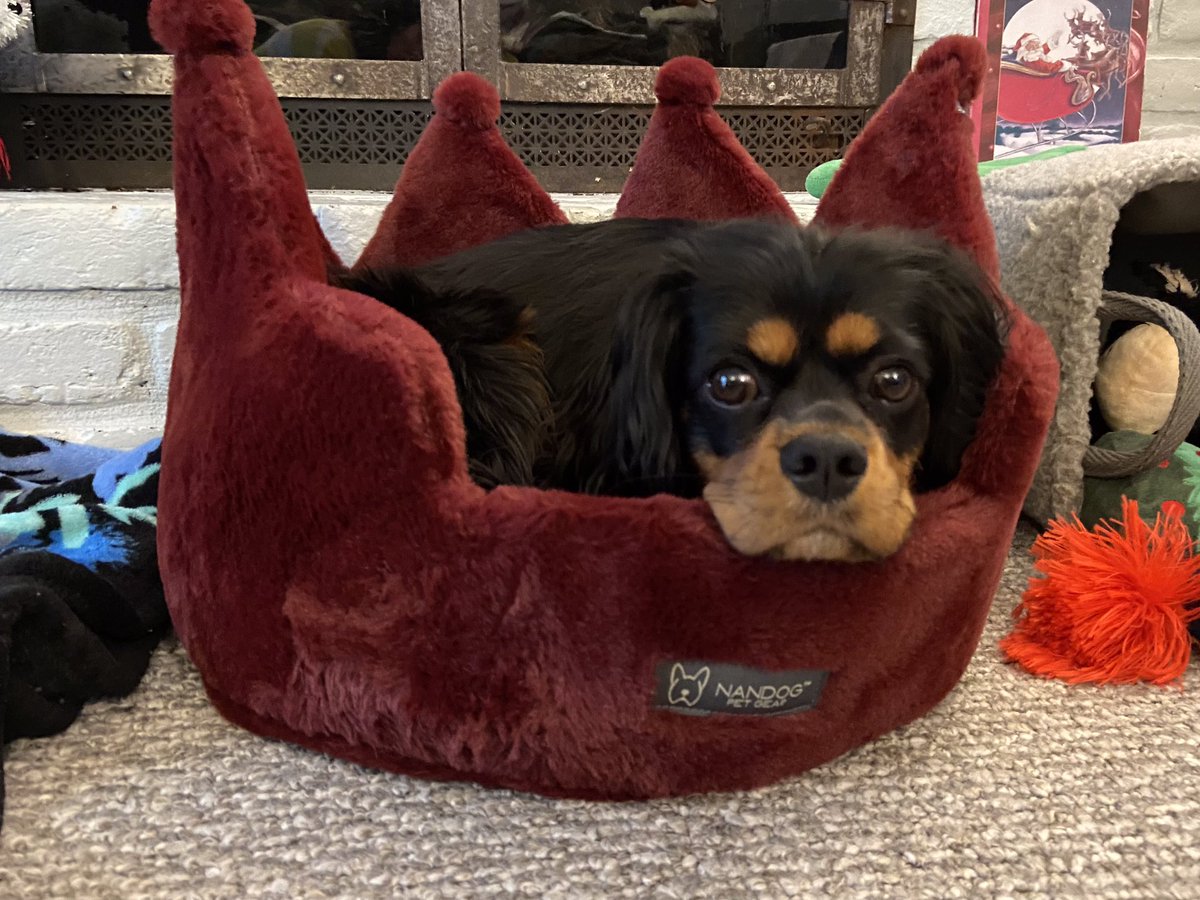 Lisa Becker tweet media