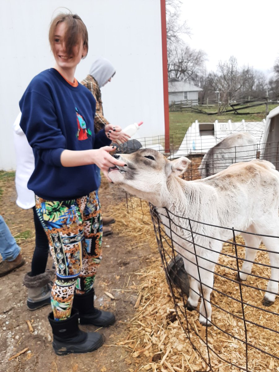 ib327_FCS's tweet photo. A field trip so students can appreciate/understand the animals and farmers that provide us our dairy products. Thank you for this authentic learning experience, Fred Rosenbohm. 🥛🐄🤍 #ibtigerpride #food #agriculture #dairyfarming https://t.co/ACcG6tpIMp