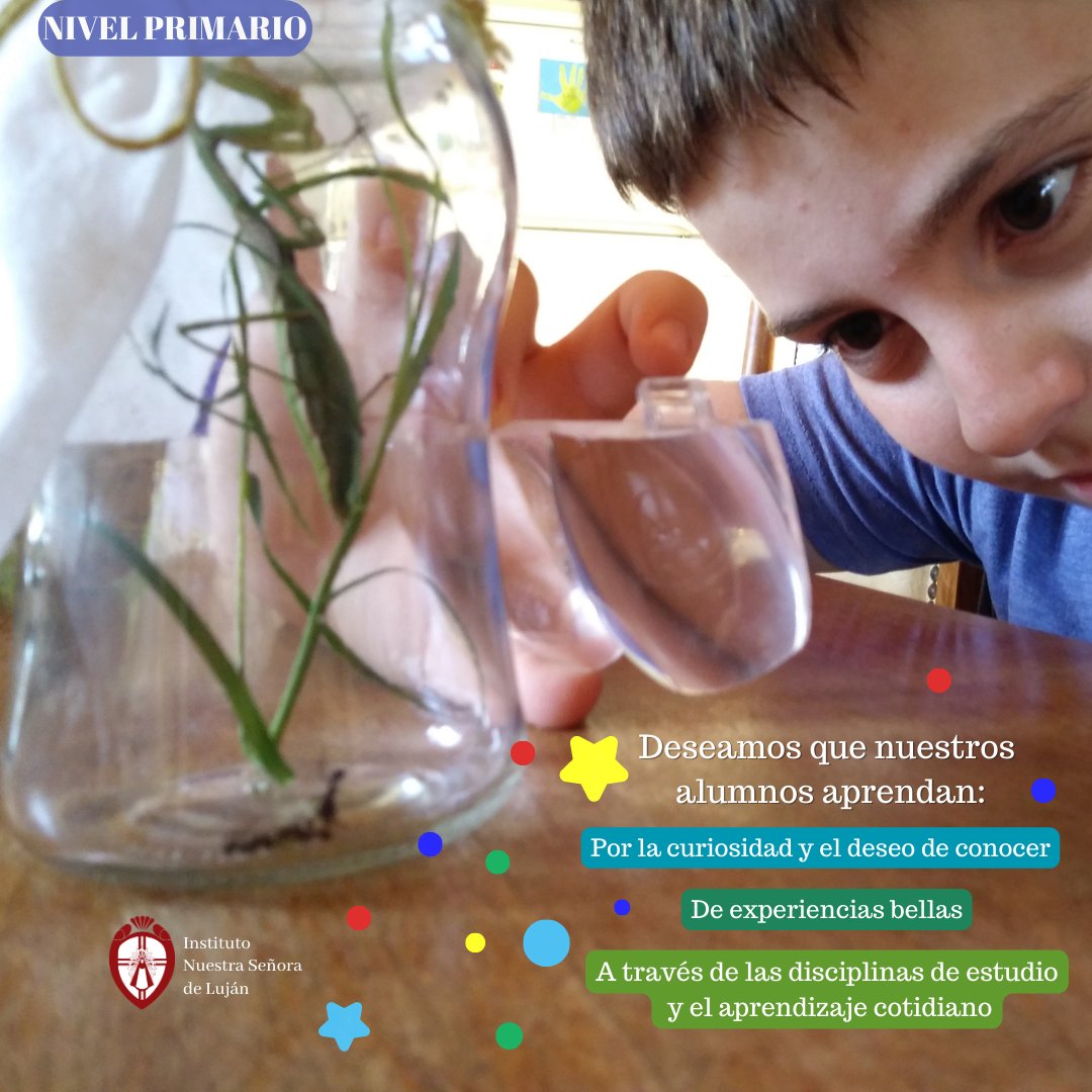 TwitLujan's tweet photo. Buen viernes! Les compartimos lo que deseamos que nuestro alumnos de nivel primario aprendan:
🔅Por la curiosidad y el deseo de conocer.
🔅De experiencias bellas.
🔅A través de las disciplinas de estudio y el aprendizaje cotidiano. https://t.co/AlHnPbCvQZ