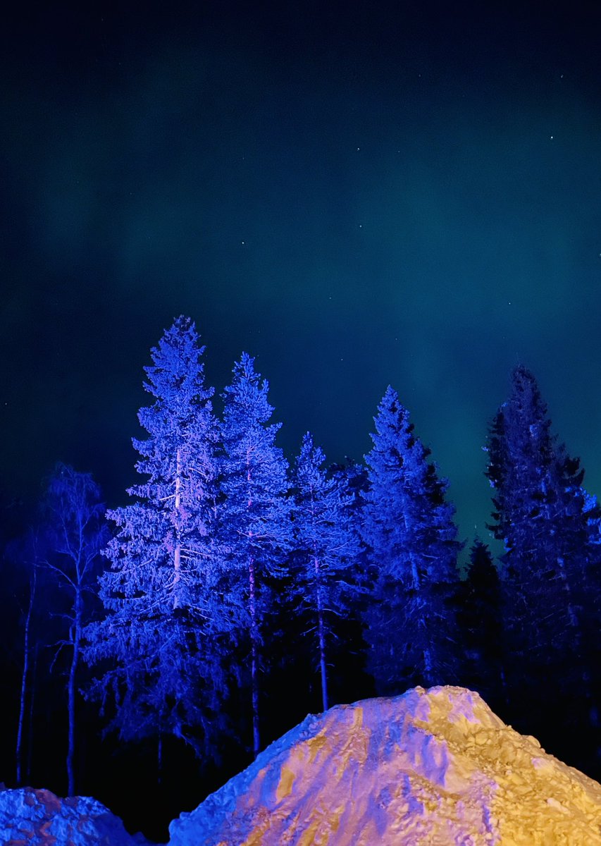 Irene Calboli tweet media