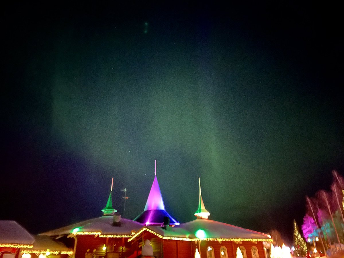 Irene Calboli tweet media