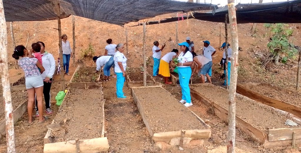 RiaAntioquia's tweet photo. La Red Vida Viveros, tejido liderado por mujeres rurales y que acompañamos, nos muestran un aire de esperanza en el Bajo Cauca. Hoy en el vivero de Nechí, Colorado, se  compartieron saberes con los adultos mayores sobre el agua y el bosque. #RedVidaViverosesEsperanza #UNIDOS https://t.co/0zuLDTopQd