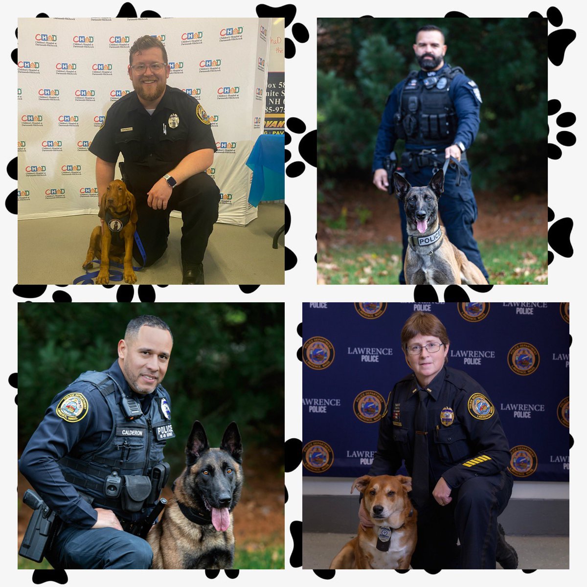 lawrencepolice's tweet photo. Lawrence Police wants to recognize our K9 Dogs 🐾 on this National Puppy Day 🐾 Lancer 🐾 Magnus 🐾 Baker  &amp;🐾 Oliver 🐾 #nationalpuppyday #K9 #comfortdogs #therapydog #community https://t.co/AR6P3a2Yx1