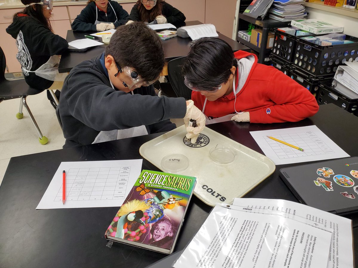 Teresa Walker tweet media