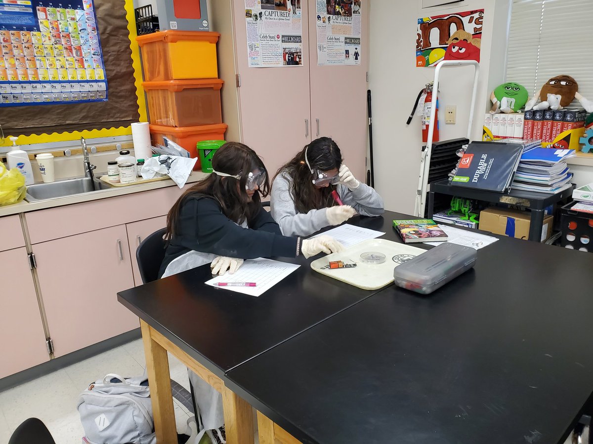 Teresa Walker tweet media