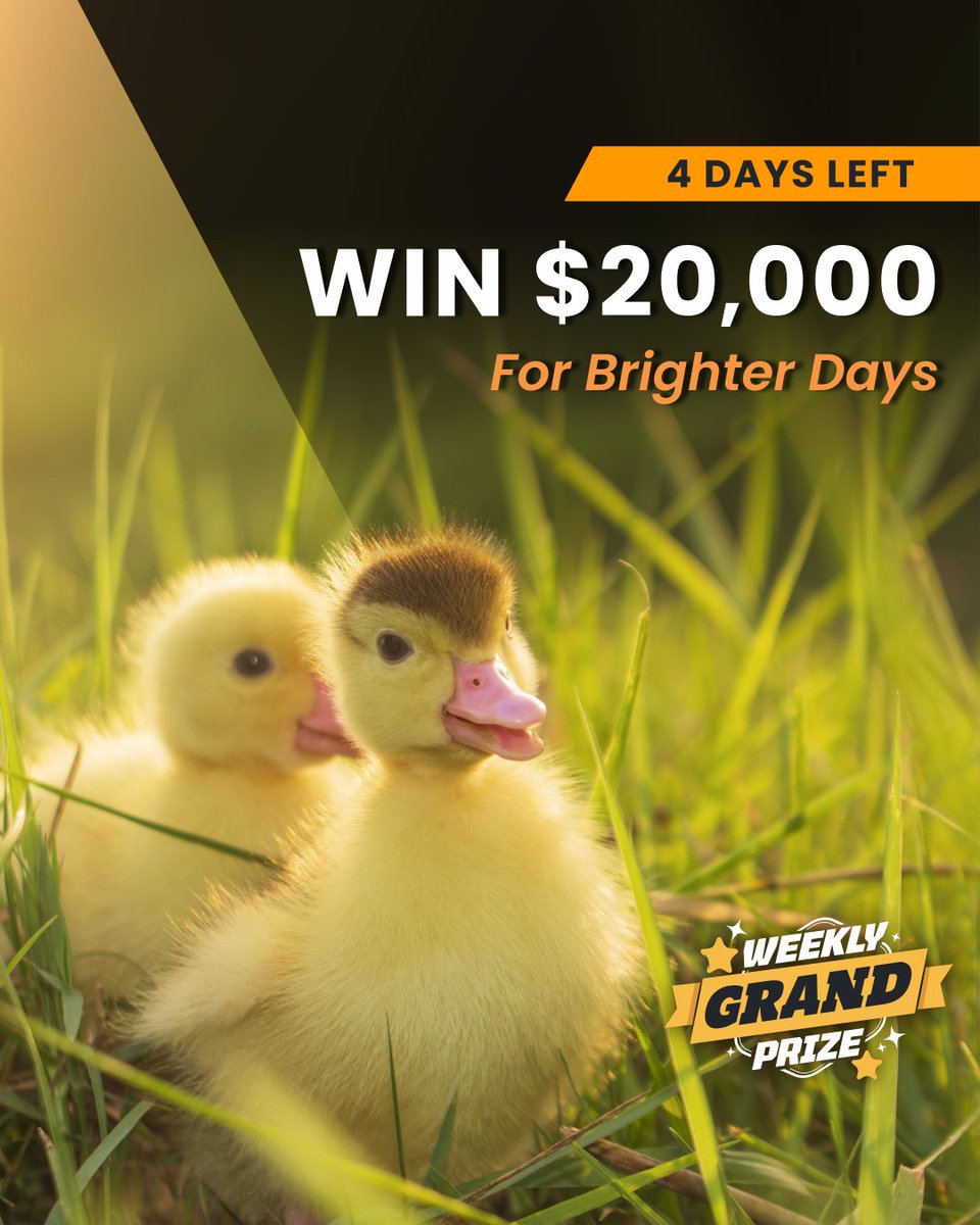 The best part about Spring is that things are always ducky! 😀 Come get in on the Springtime fun and claim lots of BONUS ENTRIES to win big with the PCH+ App today: bit.ly/3nfL1q6