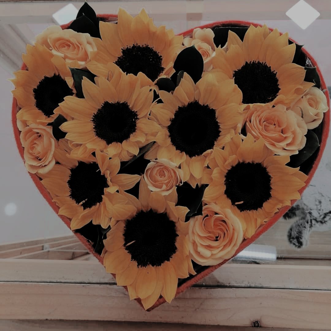  ، 𝒋𝐨𝐬𝐡͜͡𝐮𝐚 . tweet media