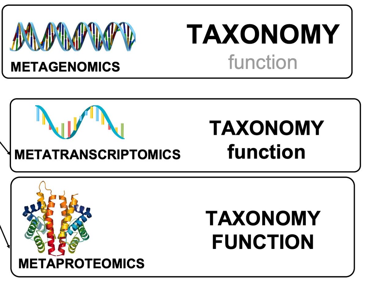 proteomics's tweet image. Researchers from @UniNMBU and @usegalaxyp will present a workshop on #MetaOmics before the #IMS2023 in Avignon. Register for the 'Integrative Multiomics in #usegalaxy' if you are interested!  #https://ims23.com/workshop1  #Metagenomics #Metatranscriptomics #Metaproteomics