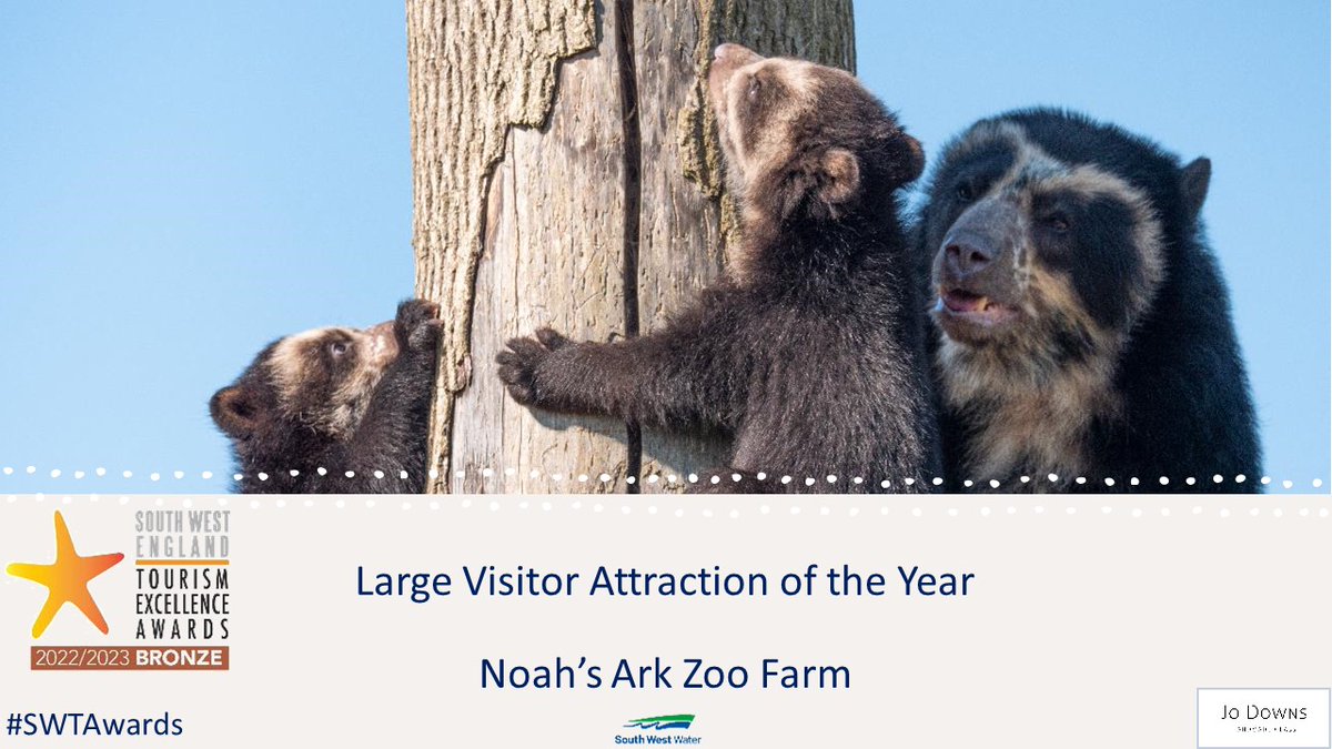 swtourismawards's tweet photo. Bronze in the #LargeAttraction category is presented by @jodownsglass to @Noahs_Ark_Zoo #SWTAwards https://t.co/pmGjWaFEzw