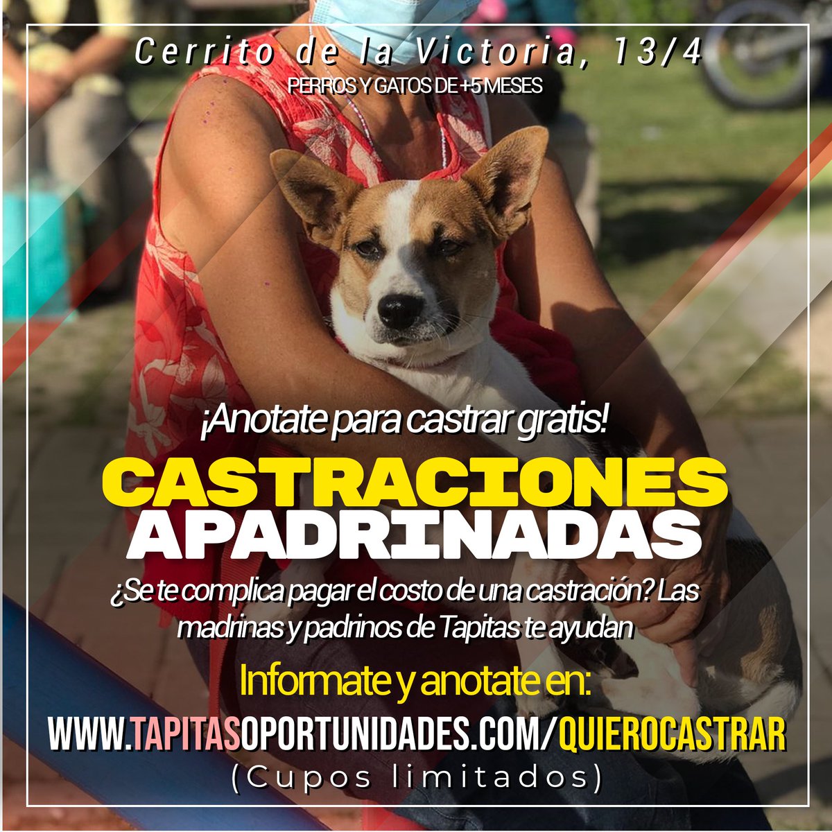 TapitasOportuni's tweet photo. El jueves 13 de abril vamos con el móvil de castraciones al Cerrito ¿Sabías que podés pedir cupo de castración gratuita para tu perro o gato?
Anotate en: https://t.co/61NhtNxjqO https://t.co/zDCYWCe2eX