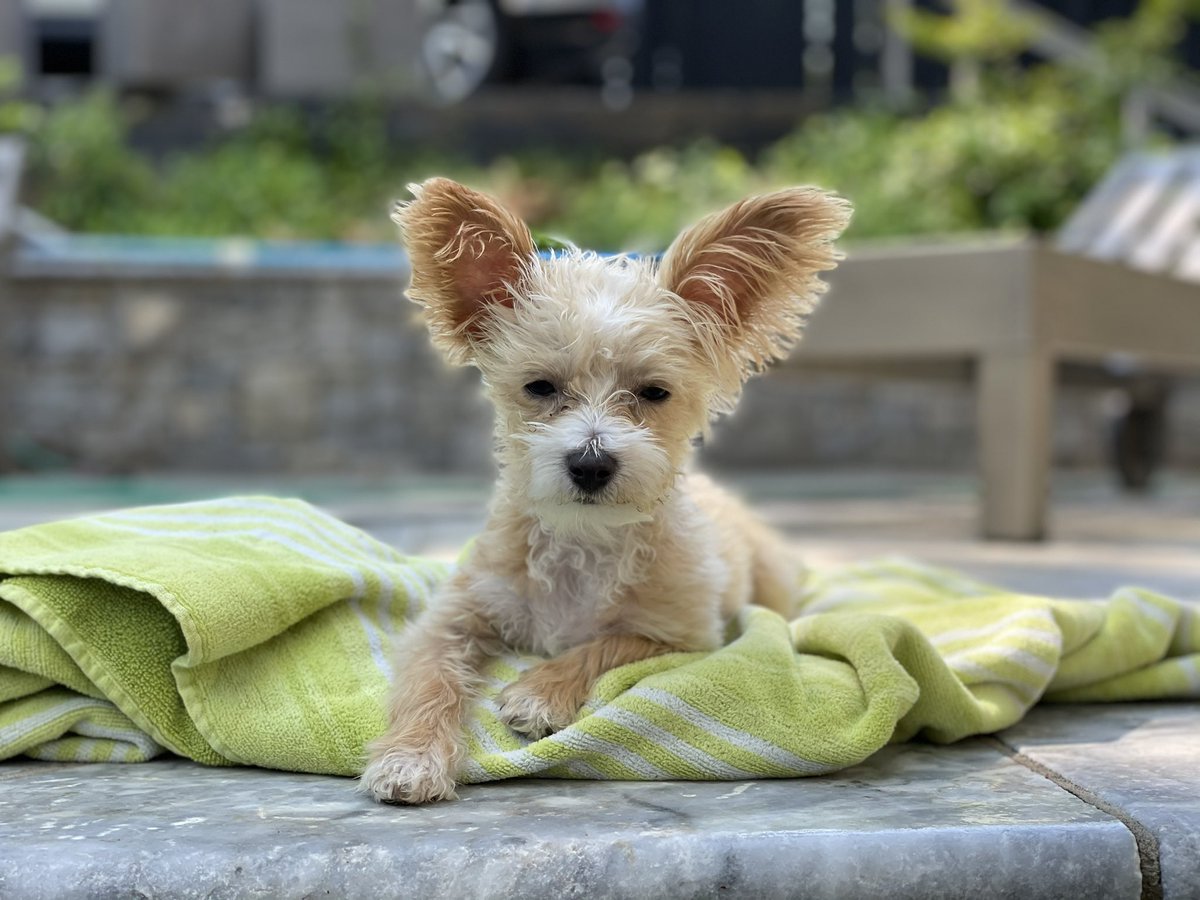 refreemee's tweet photo. @babydoge https://t.co/MmQHm9pYDQ