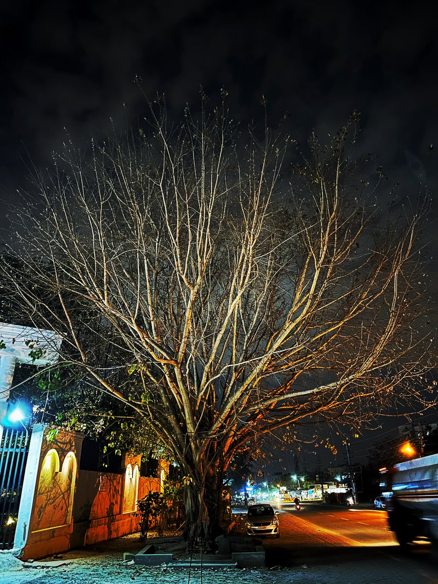 rbmdir's tweet photo. #Off to Kerala❤️🦋🍀🌿🌼🌺🌻 https://t.co/KUvT8IKcvF