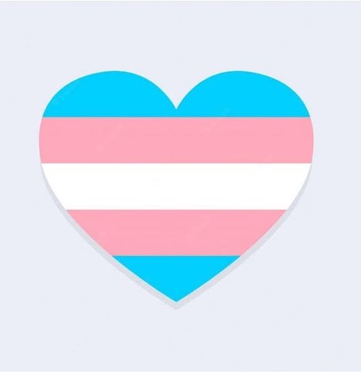 drayeshaverrall's tweet photo. Bigotry is dangerous. Transphobia has no place in New Zealand. https://t.co/CTTwMxAgSe
