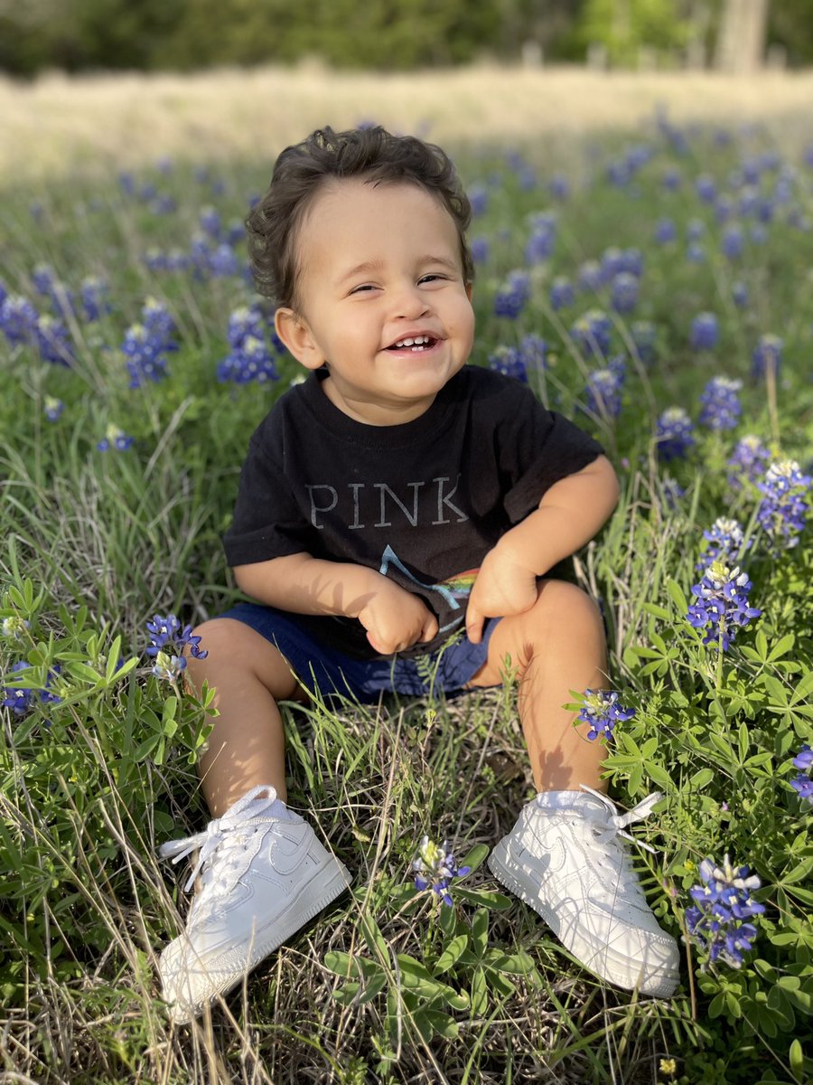 ughhabby's tweet photo. Bluebonnets 2023 https://t.co/jkIadmcEON