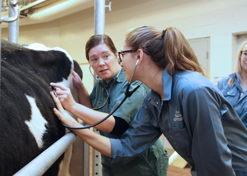LakeheadUNews's tweet photo. https://t.co/ScmrWJOgTW

Lakehead University and @uofg are thrilled by the provincial government’s announcement to invest in expanding veterinary training in Ontario. https://t.co/v56K7HaffE