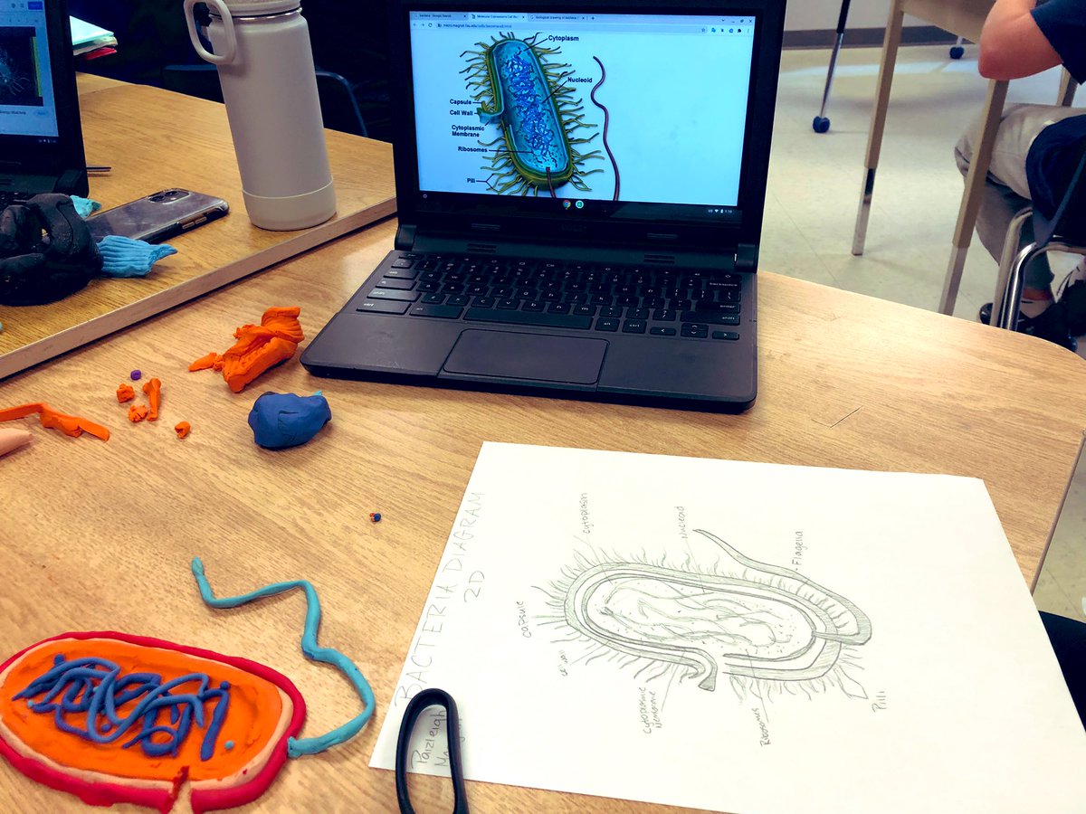 MissJadoonanan's tweet photo. 8-B science learning about #cells, is coming to an end with the culminating task of researching, creating and drawing an unicellular organism of choice. These works in progress are ex-cell-ent! 🧬 #STEMeducation @ArdaghBluffsPS https://t.co/fjsbVezVzo