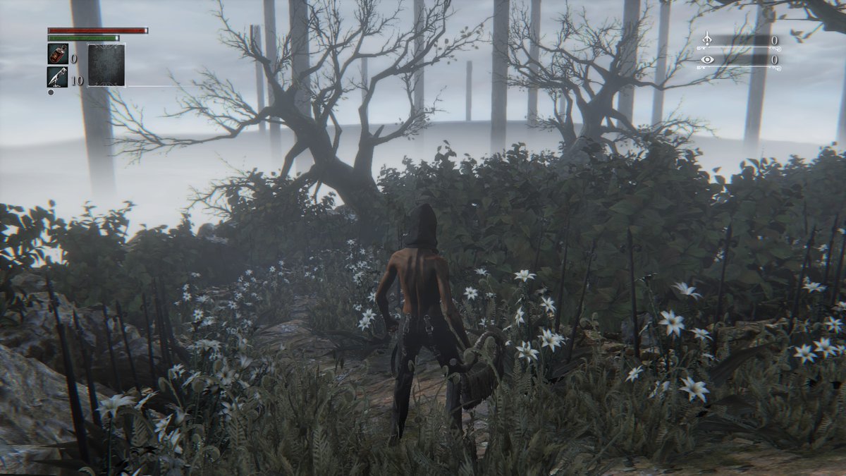 amethystiox's tweet image. #PS5Share, #Bloodborne