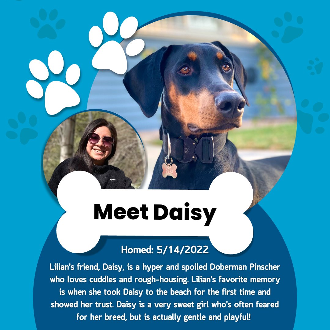 GO2UCMerced's tweet photo. 🐾 Happy National Puppy Day! 🐶 We're excited to introduce you to the furry members of our UC Merced family! 🏡💙💛

#NationalPuppyDay #DogsofUCMerced #ucmerced #lifeatucmerced @uofcalifornia https://t.co/w43Xn3Qku3