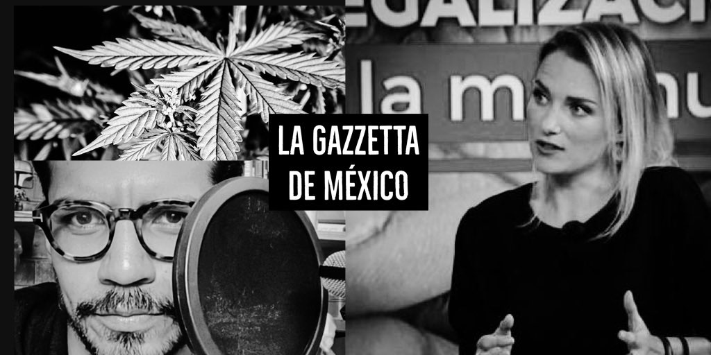 JulioCesarMacs's tweet photo. Entrevisté a @zarasnapp directora del @Instituto_RIA Conversamos de su experiencia en la CND, la legalización 🟢,  el fentanilo, las posturas del presidente López Obrador y los estigmas a los que se enfrenta regular por la paz. #LaGazzettaMx
https://t.co/exai3q9NBs  🎙👈🏼 https://t.co/5HVqq0n4mt