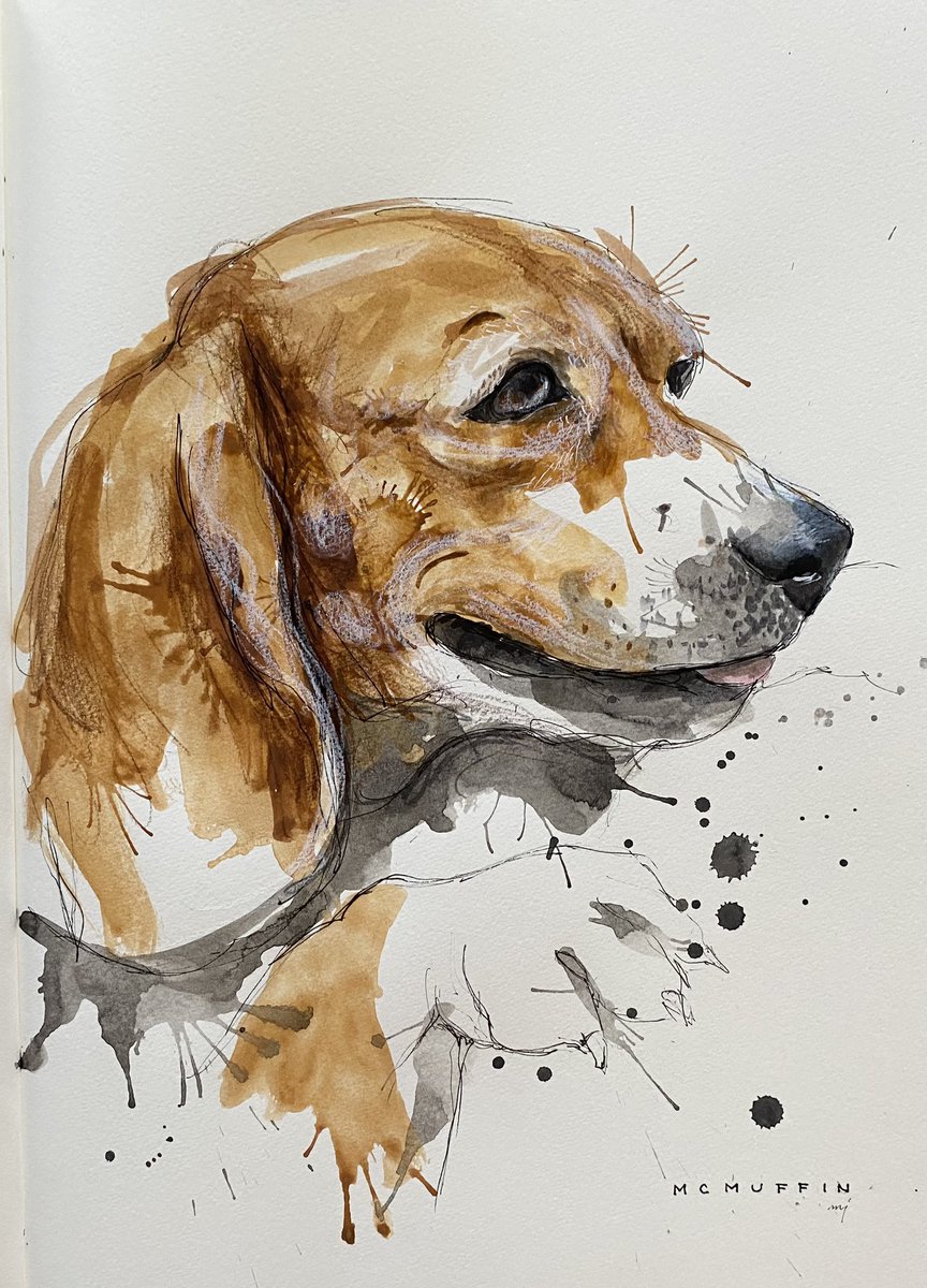 McMuffin <a href="/NiallHarbison/">Niall Harbison</a> 
#dogart #dogoftweeter #rescuedog #dogportrait 

Please follow me on 
Instagram @chellejung_draws