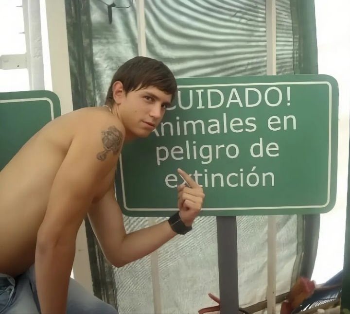 Capture Bizarre® (@capturebizarre) on Twitter photo 