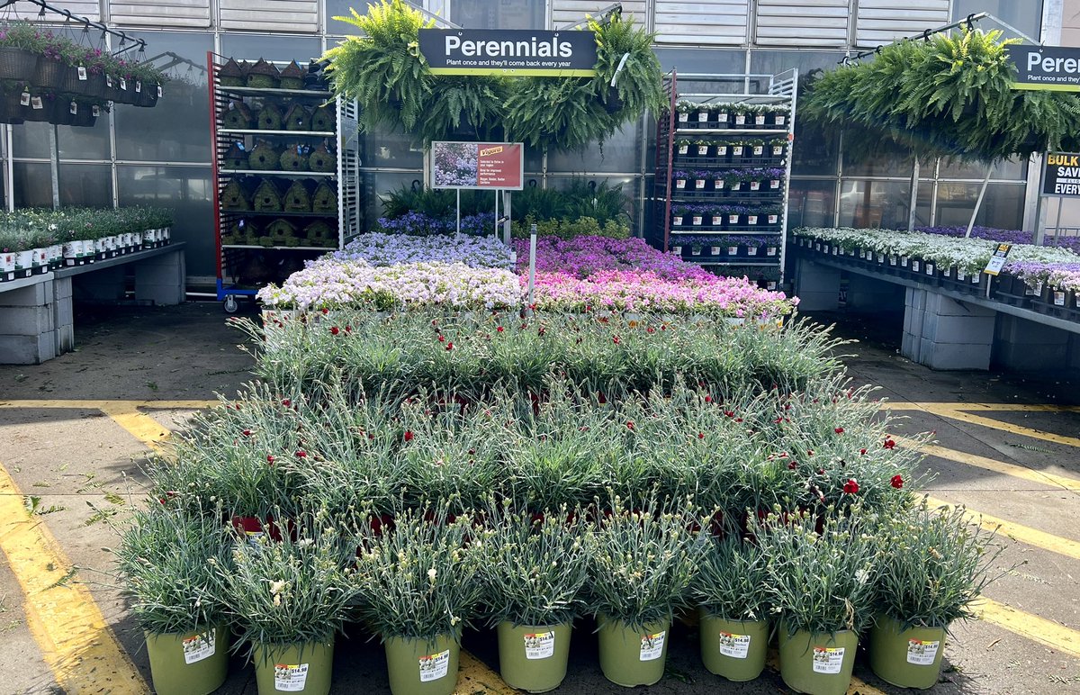 shanecombscobb's tweet photo. So happy that we're heading into the best Spring season EVER! Wendover @HomeDepot is ready for the weekend! #hd3608 #letsgo 
@JarrettBennett3 @GriffinAgriffin @pps_s_atlantic @Logan01Tanisha @billyoneal123 @merritt_jen https://t.co/HWrSSWaIz3
