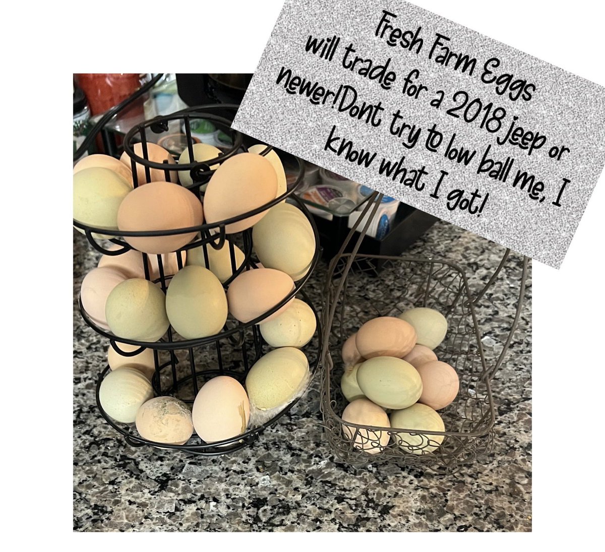 Fresh Farm Eggs. Will Trade for 2018 JEEP or newer! Don’t try to low ball me, I know what I got!