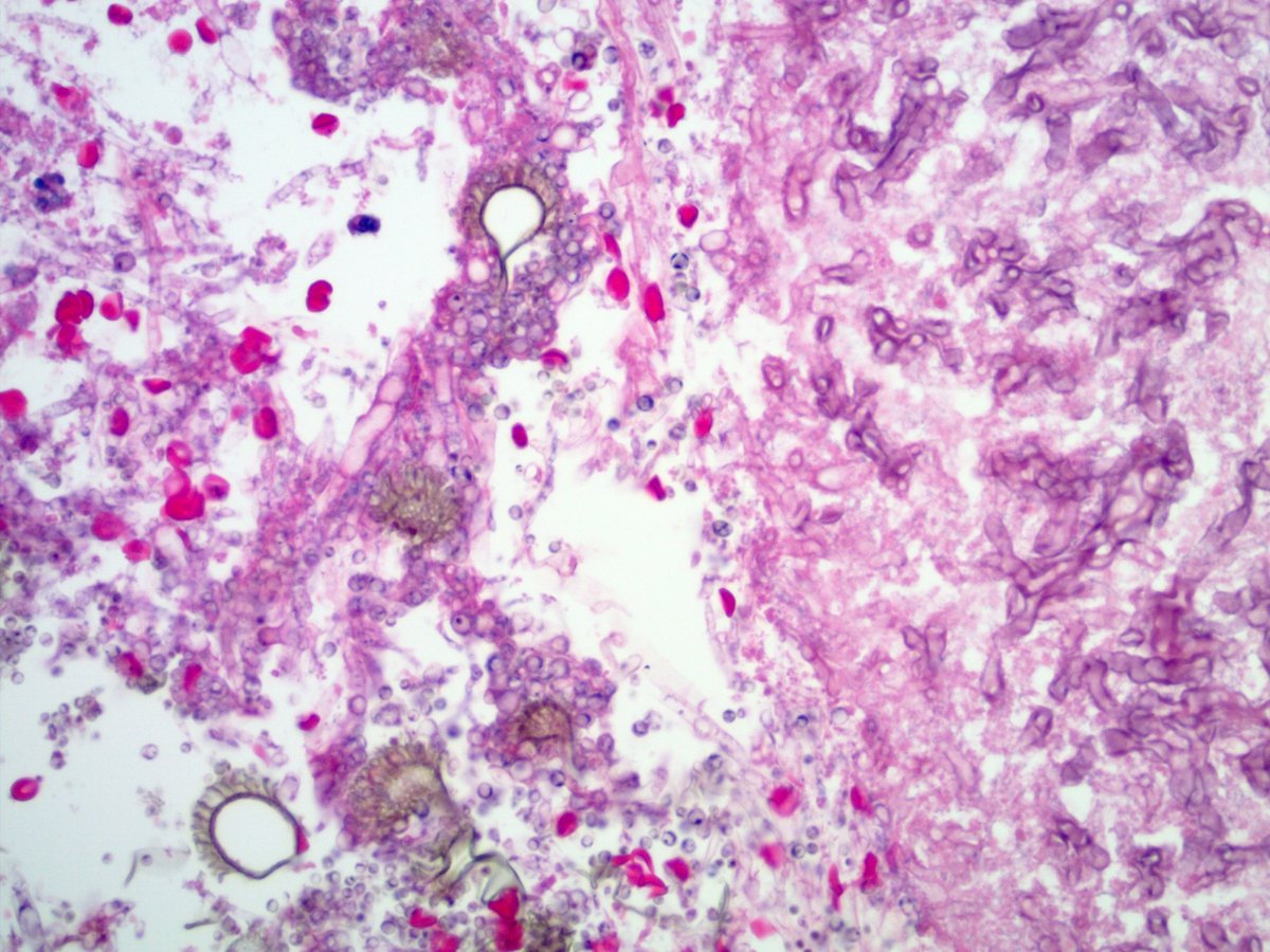 Sanjay Mukhopadhyay tweet media