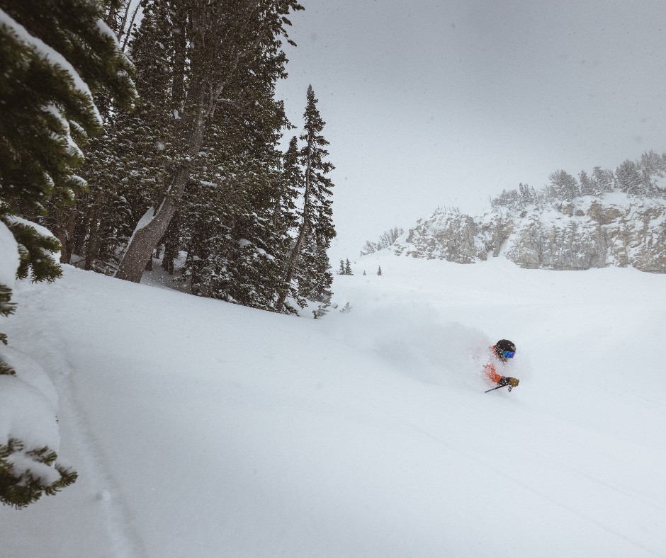 jhski's tweet photo. This morning! 💥 We've received 18" in the last three days, bringing our total for March to 59" and the season up to 533". Retweet if your ideal version of spring skiing involves lots of powder ❄️
📸: @StephenShelesky 
⛷️: Sofia Dewolfe
#jacksonhole #jhdreaming #powderskiing https://t.co/13Td2cOVkh