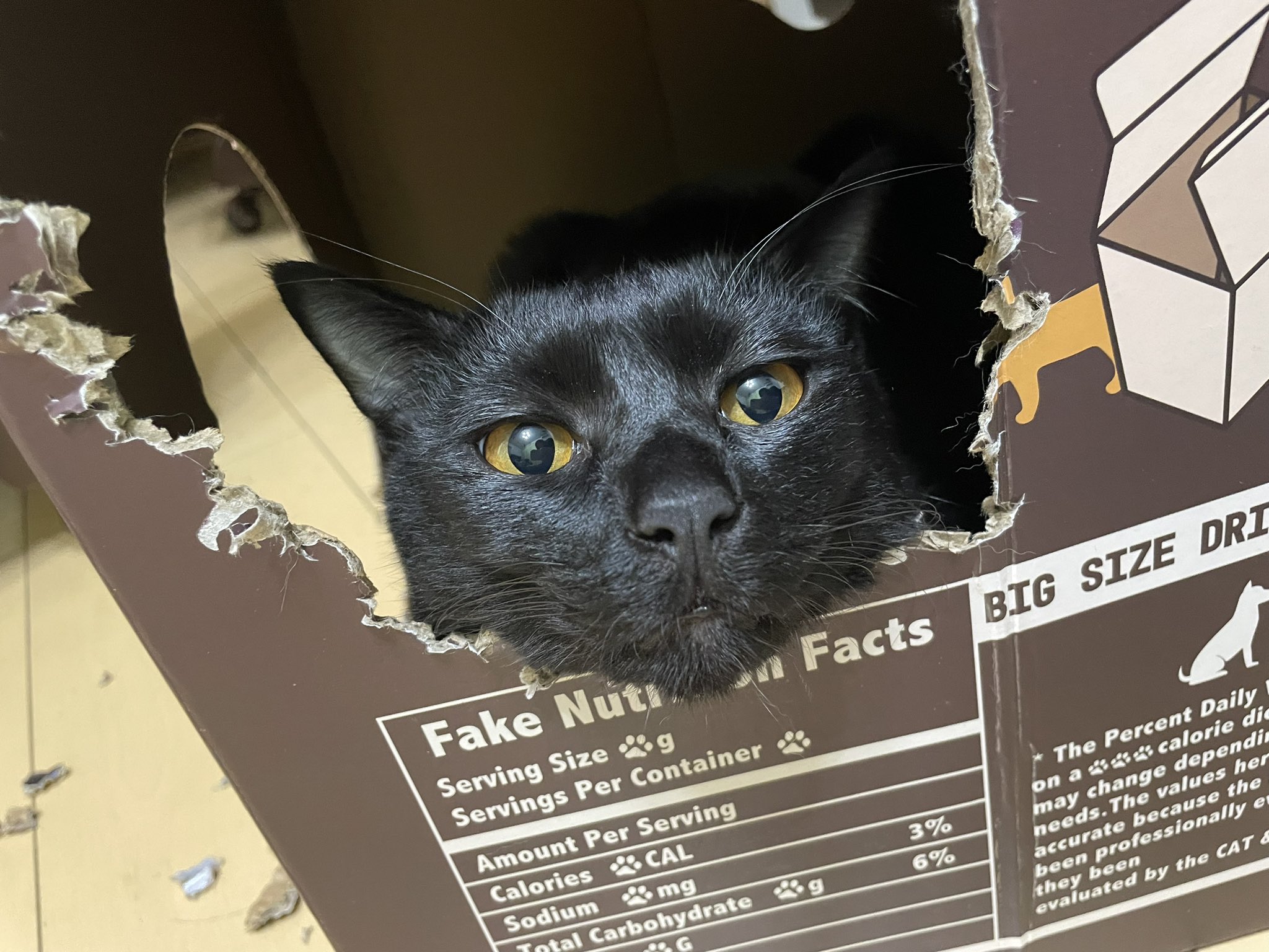 🫧🐰Lulu🐰🫧 (@0720Lulu) / X