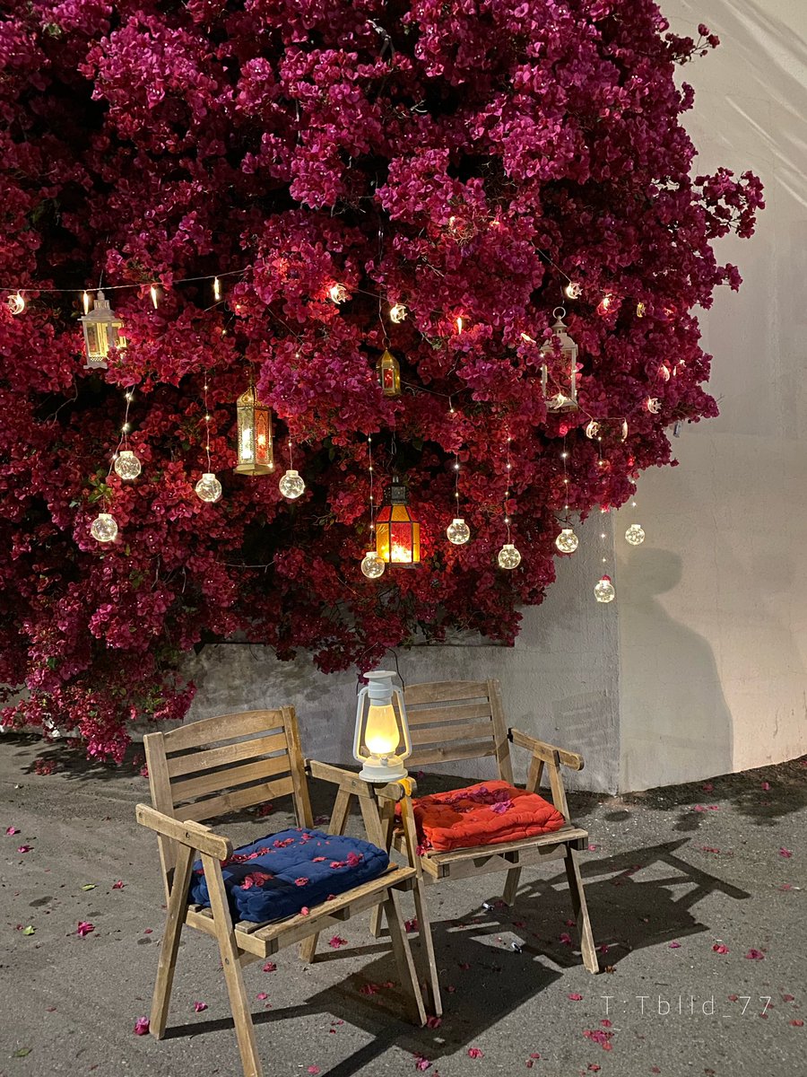 77Tblld's tweet photo. ليت الأيام كلها رمضان 
سكينة ورحمـة وخفة روح🤍.. https://t.co/M2kef9fIC0