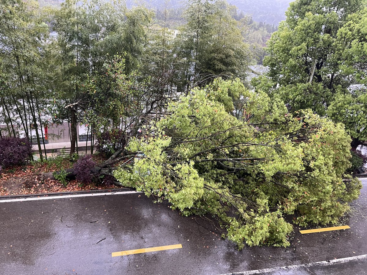 UniqueRango's tweet image. What a storm happened in last night.