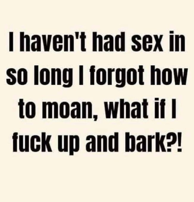 Woef woef https://t.co/WKIJjQFCOS<a href="/tag/nieuweprofielfoto"class="tags"><span>#nieuweprofielfoto</span></a>