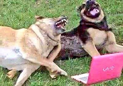 <a href="/DrTedros/">Tedros Adhanom Ghebreyesus</a> <a href="/WHO/">World Health Organization (WHO)</a> And then, World Health "Wuhan" Organization CEO <a href="/DrTedros/">Tedros Adhanom Ghebreyesus</a> said you can Trust him 😂😂😂

#pandemicaccord #DefundtheUN