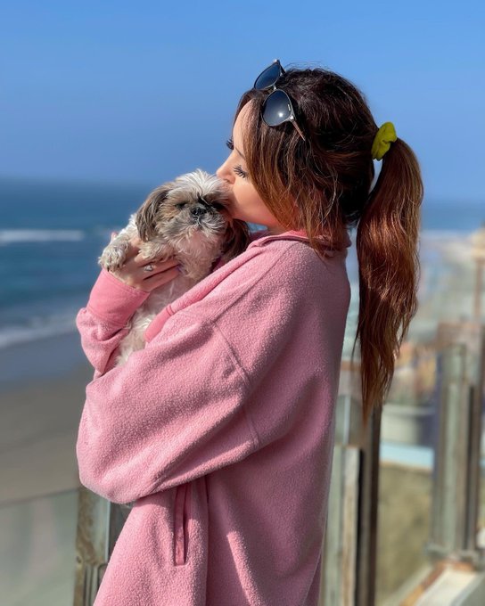 RIP to my best friend. There are no words for how much I will miss you 💔 https://t.co/Dzx9XB5rqe