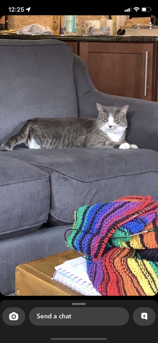 alynmc's tweet photo. @tmiranda23 Hope is doing okay. Daphne sends her best wishes https://t.co/6Ugl8pIuEr