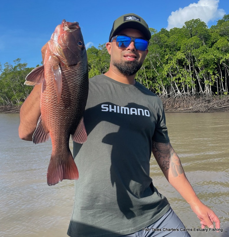 fish_tales's tweet photo. From yesterday`s afternoon fish!
.
#mangrovejack #estuaryfishingcairns #fishtalescairns #TNQ #mangroves #thisisqueensland @queensland @tropicalnorthqueensland #theFNQway #gofishing #FNQ #cometocairns2023 #fishinguptheinletcairns #instafishing #guidedestuaryfishingcairns https://t.co/vpY70YaZYl