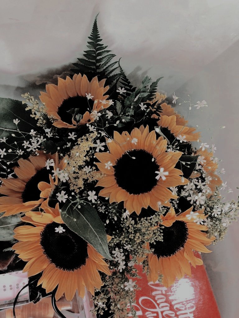 FLEDTHSCENE's tweet photo. ⠀    

⠀⠀        ⠀⠀♡𝅼 ᐟ⠀𝐲͟𝐞͟𝐥͟𝐥͟𝐨͟𝐰  𝐟͟𝐥͟𝐨͟𝐰͟𝐞͟𝐫͟𝐬  :
⠀⠀        ⠀⠀𝗐𝗂𝗍𝗁 𝗅𝗈𝗏𝖾 𝖿𝗈𝗋 𝗆𝗒 𝗉𝖾𝗋𝗌𝗈𝗇 
                   —— @LETMEAD0REYOU !

⠀⠀ https://t.co/42b5UccW9k