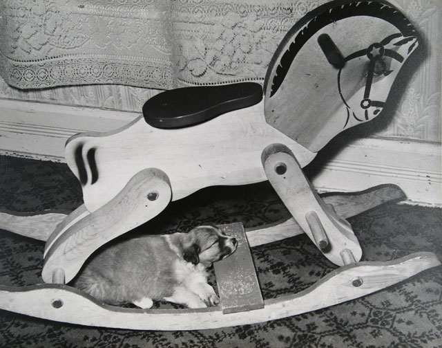 The weather outside is making us as sleepy as this little guy! Happy #NationalPuppyDay #FromtheAutryMuseumArchives!