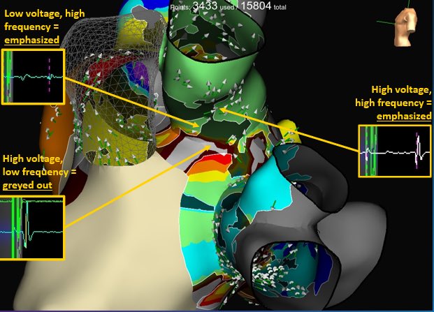 Alexis Holmes tweet media