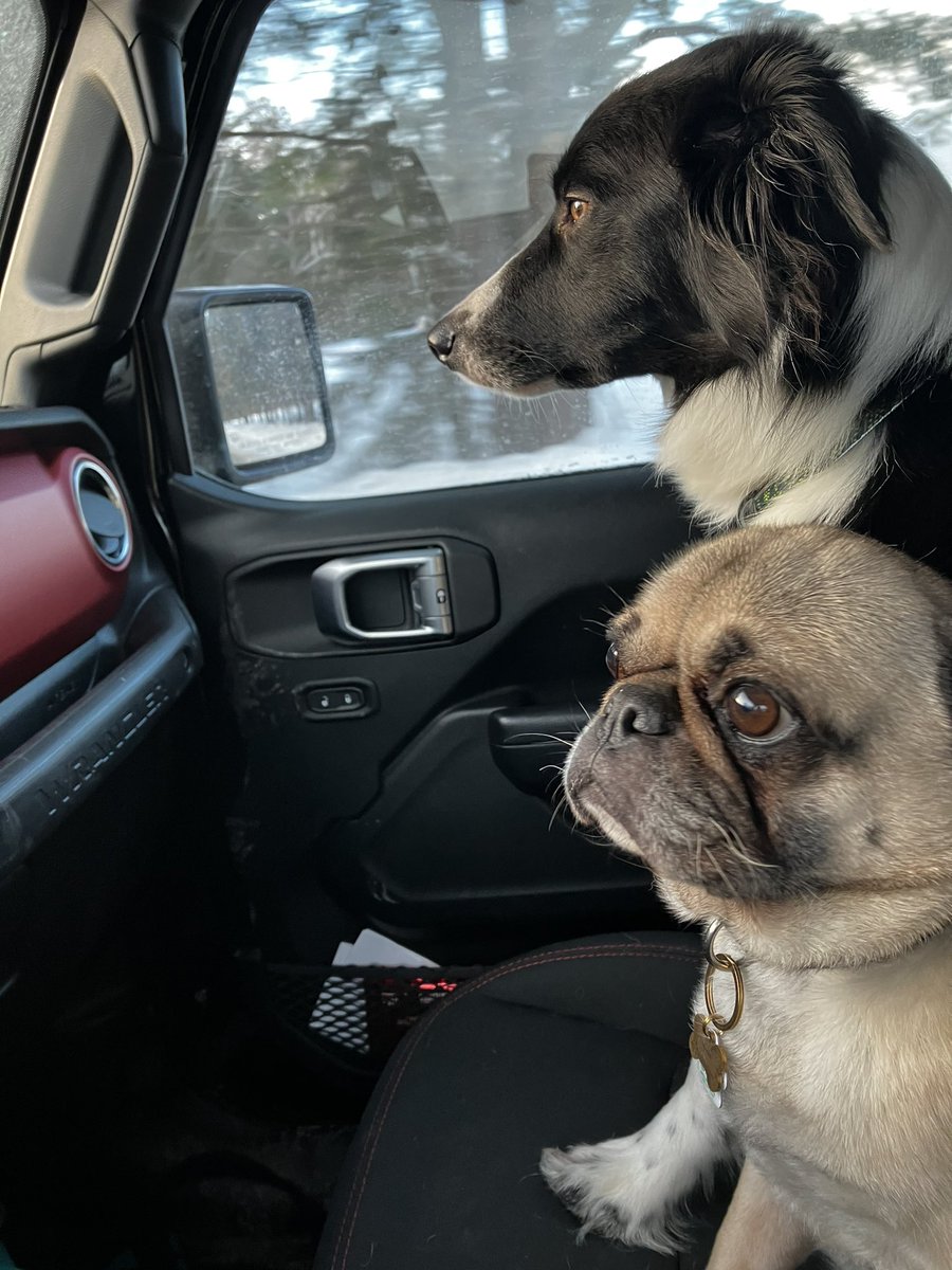 Shannon MacLeod tweet media