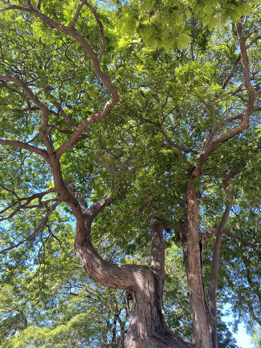 ArqLps's tweet photo. @VisualsbySauter https://t.co/4ji3Ofzmc5