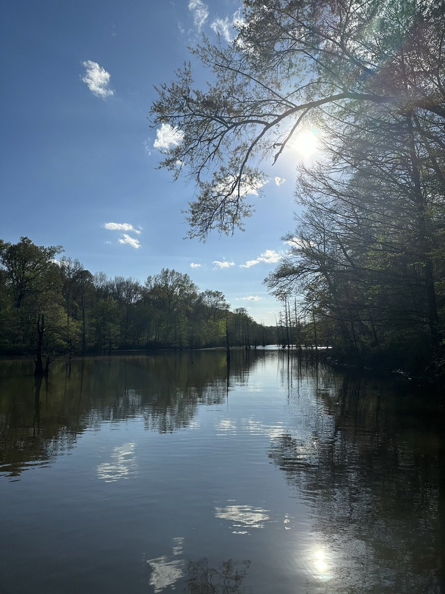 Cardbunny431's tweet photo. Afternoon on Tombigbee River https://t.co/C5CZhA2rkW