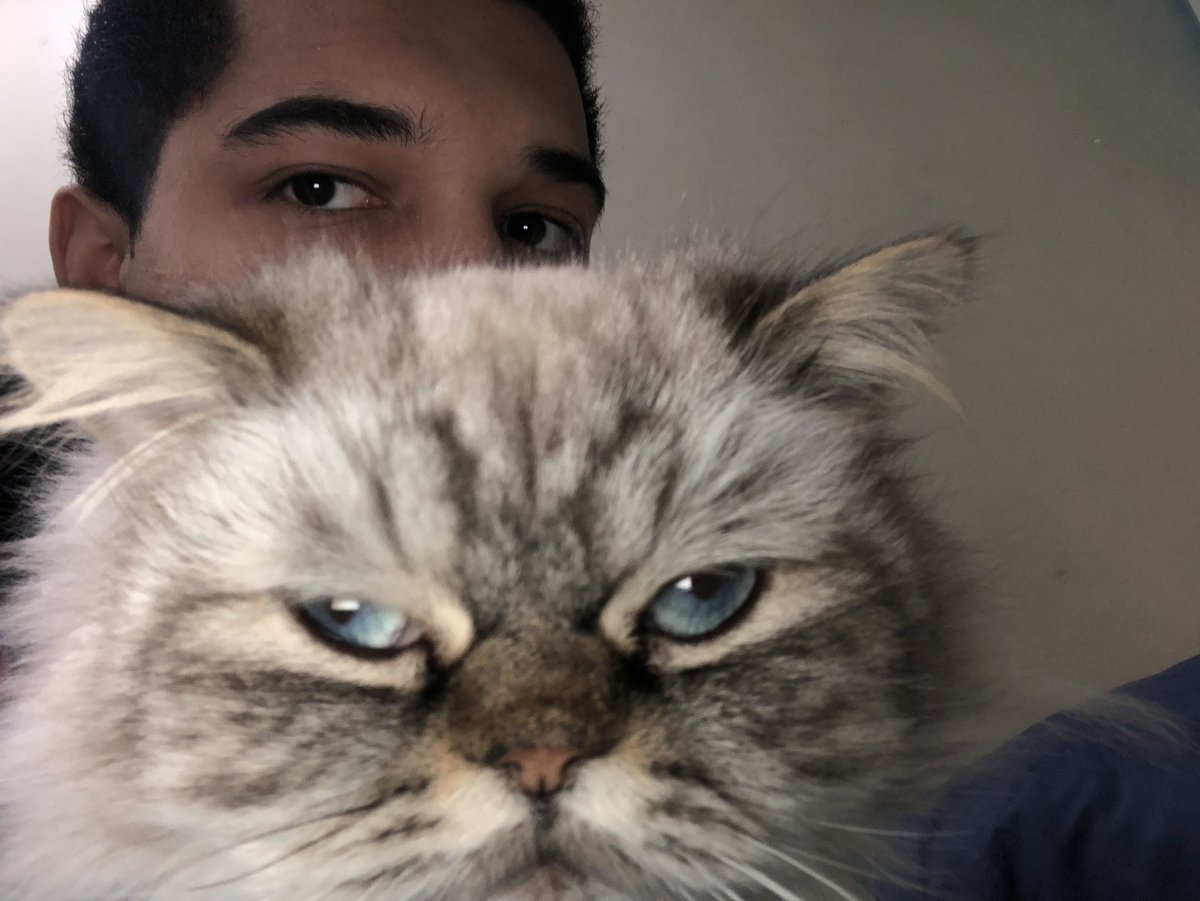 malachlx's tweet photo. rip knuckles u were my best friend for 9 years i love u https://t.co/6ef45WYzGS