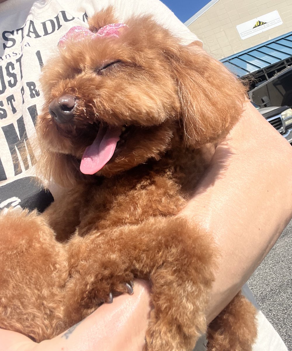 Yeah that’s happiness.