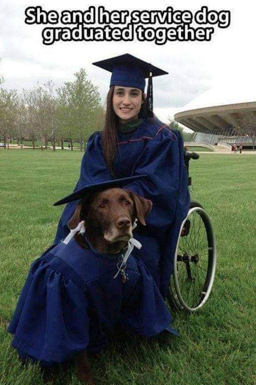 thehappydog_ tweet picture