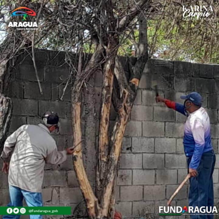 #23Mar|| ¡Aragua Reverdece!💚 
Con diversas labores se desplegaron las cuadrillas de #FundAragua, en la Comunidad Los Naranjos, Municipio Libertador.