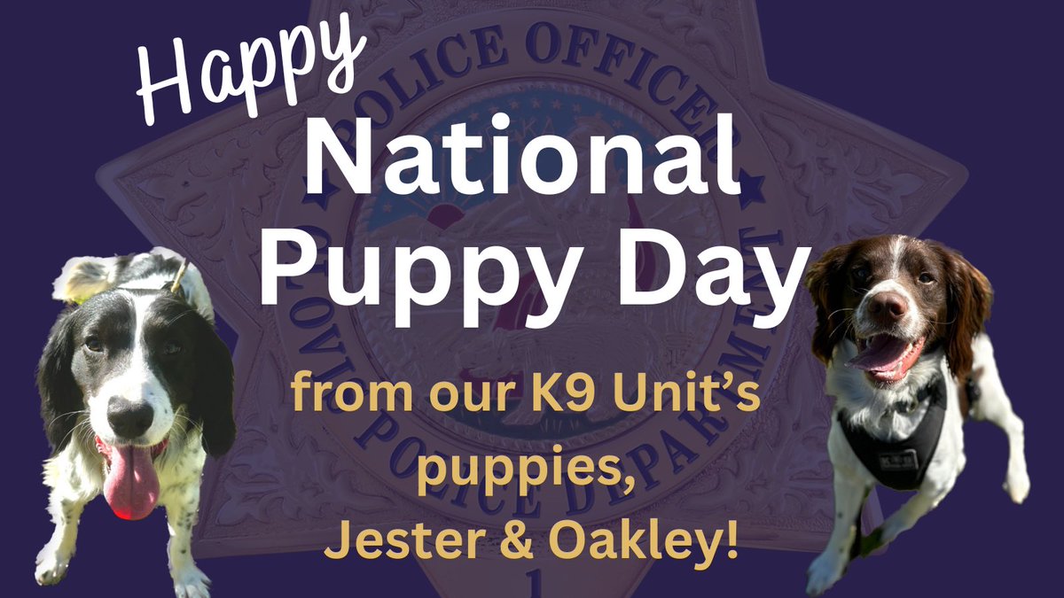 ClovisPolice_CA's tweet photo. Happy #NationalPuppyDay from our #CPDK9Unit & their 2 puppies, #CPDK9Jester & #CPDK9Oakley! https://t.co/C3sK7slSBV