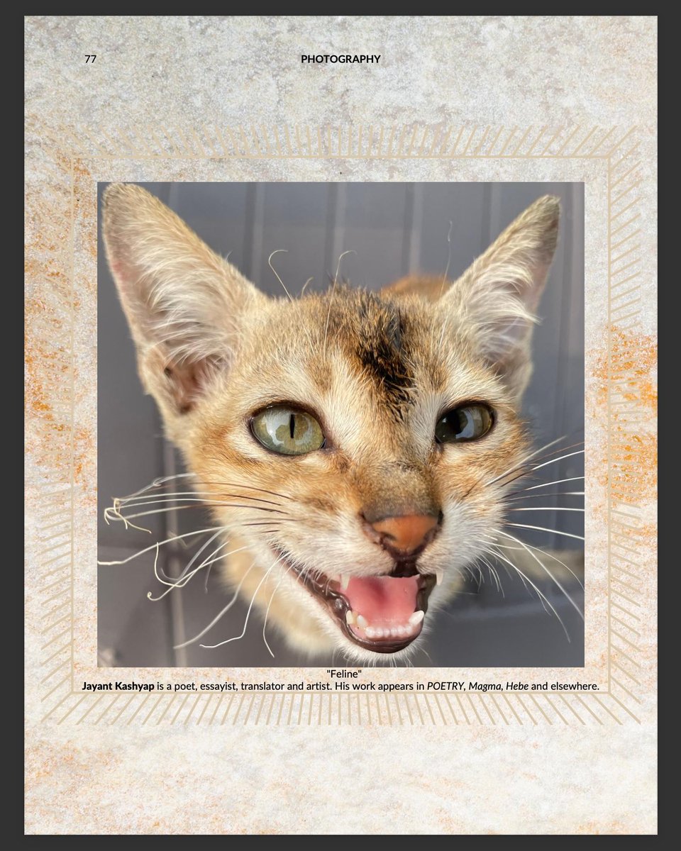 Jayant Kashyap: NOTES ON BURIALS out now! tweet media